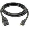 Eaton Tripp Lite Series Computer Power Cord, C19 to NEMA 5-15P - Heavy-Duty, 15A, 125V, 14 AWG, 10 ft. (3.05 m), Black