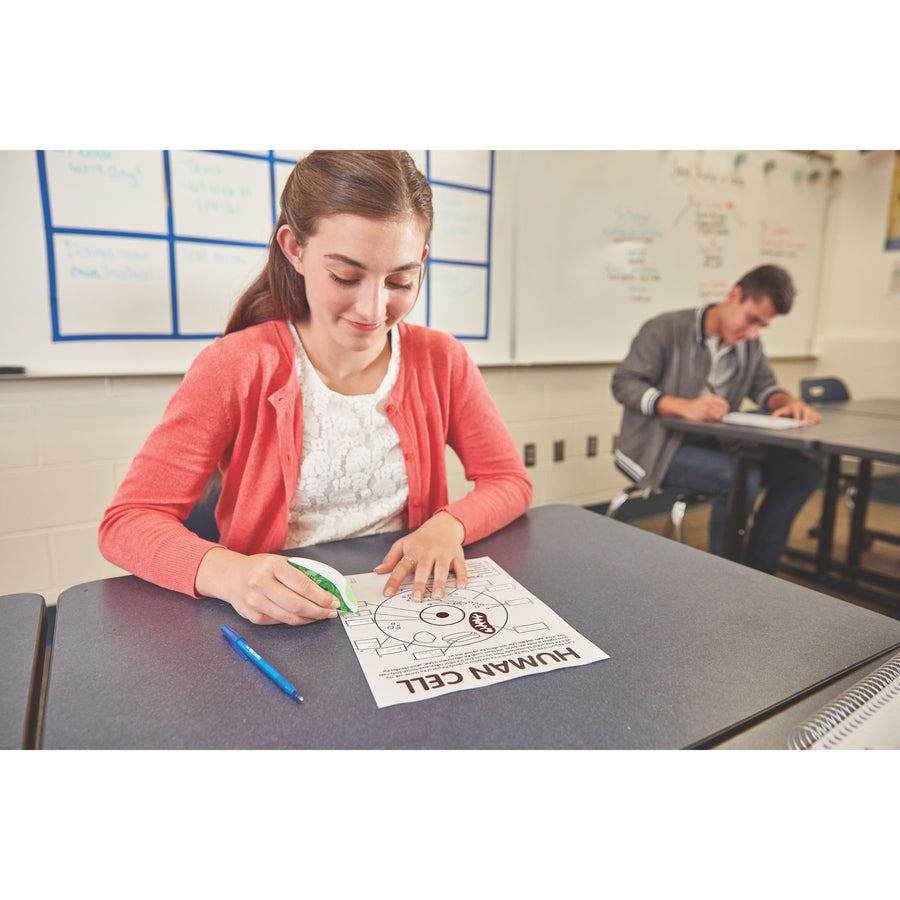 Paper Mate Liquid Paper DryLine Correction Tape