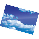 Fellowes Self-Adhesive Pouches - Photo, 5mil, 5 pack