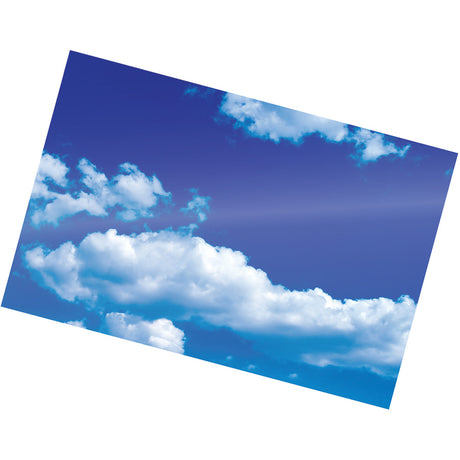 Fellowes Self-Adhesive Pouches - Photo, 5mil, 5 pack