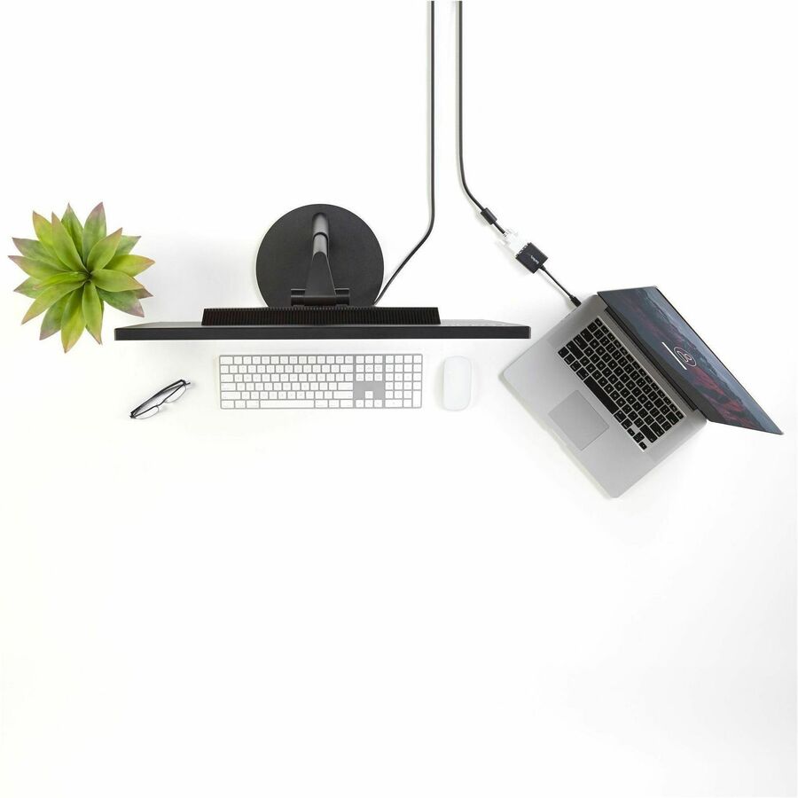 StarTech.com Mini DisplayPort to DVI Video Adapter Converter