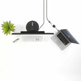 StarTech.com Mini DisplayPort to DVI Video Adapter Converter