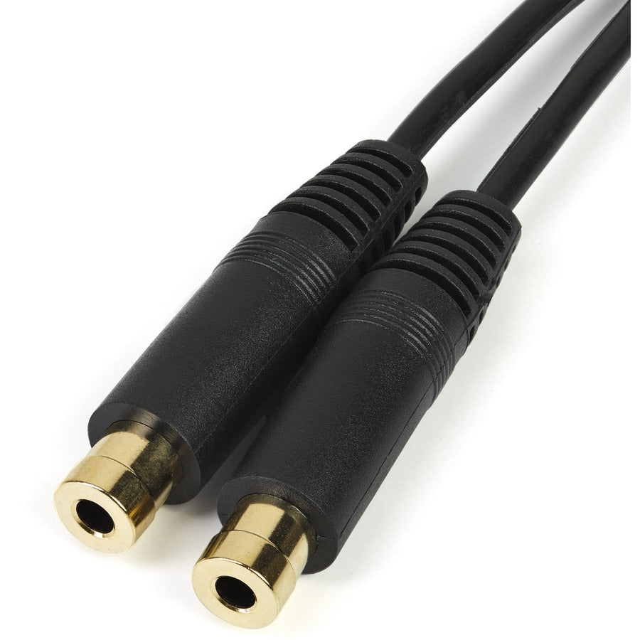 StarTech.com Stereo Splitter Cable - Phono Stereo 3.5mm (M) - Phono 2x Stereo (F) - 6in
