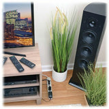 Eaton Tripp Lite Series Protect It! 6-Outlet Surge Protector, 6 ft. Cord, 790 Joules, Diagnostic LED, Light Gray Housing