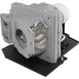 BTI 310-6896-BTI Replacement Lamp