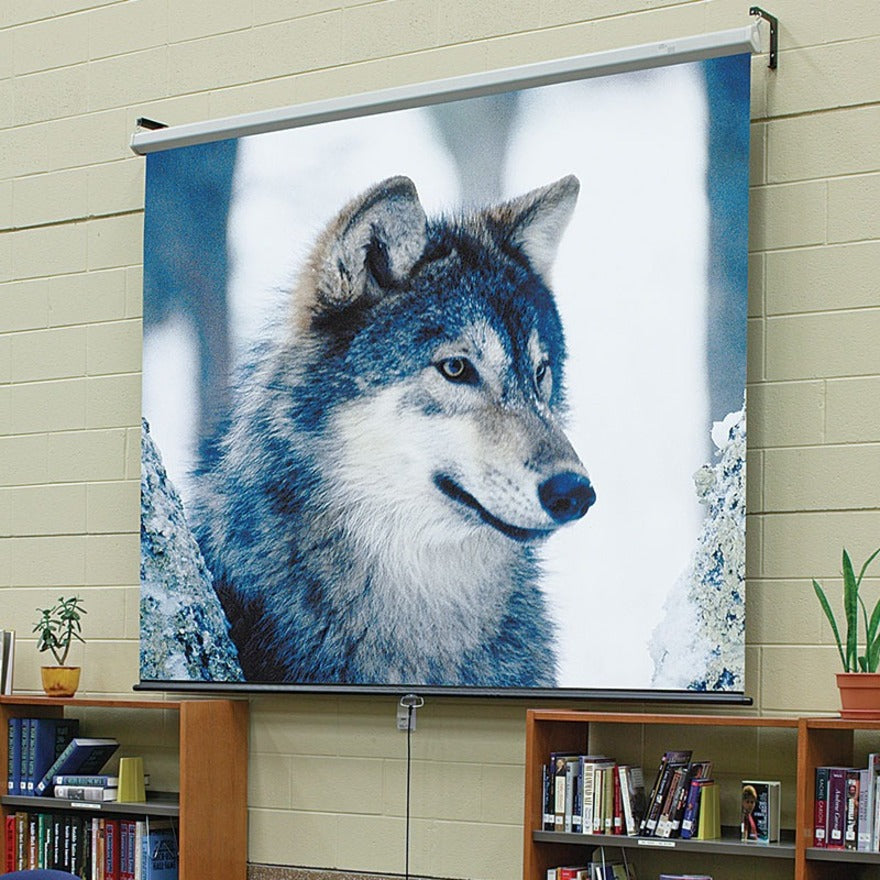 Draper Luma 100" Manual Projection Screen