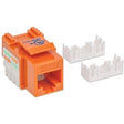 Intellinet Network Solutions Cat6 Keystone Jack, UTP, Punch-Down, Orange