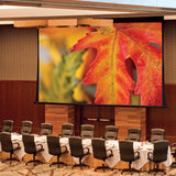 Draper Paragon V 324" Projection Screen