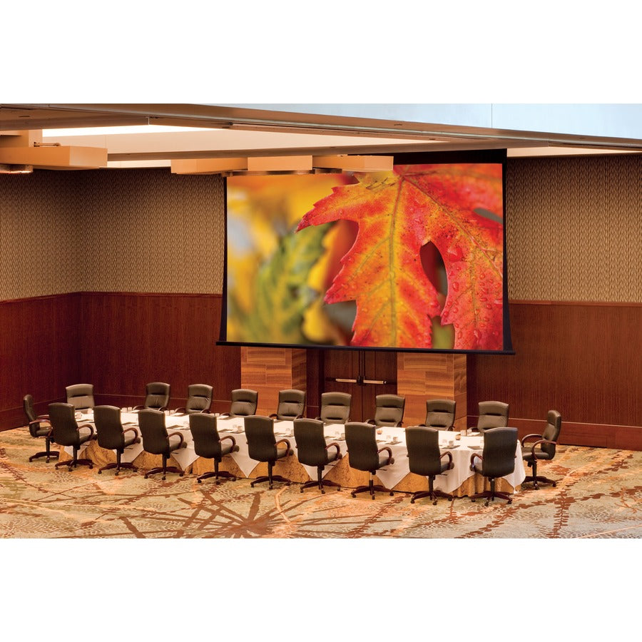 Draper Paragon V 324" Projection Screen