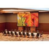 Draper Paragon V 324" Projection Screen