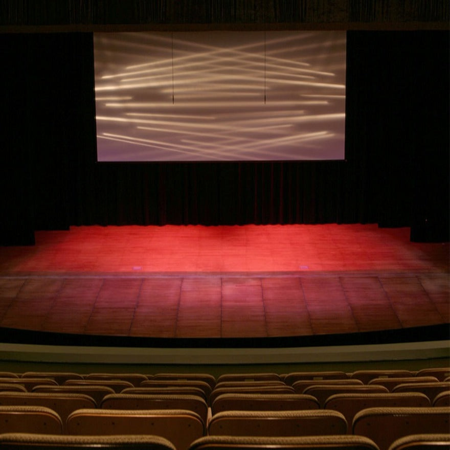 Draper Paragon E 300" Projection Screen