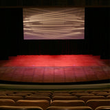 Draper Paragon E 300" Projection Screen