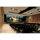 Draper Paragon E 300" Projection Screen