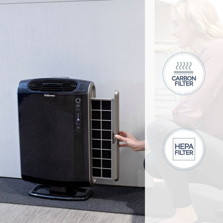 AeraMax&reg; 290 Air Purifier