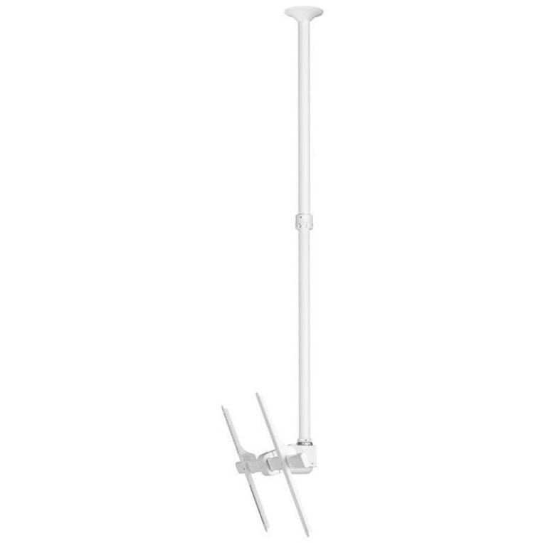 Atdec ceiling mount for large display, long pole - Loads up to 143lb - White - Universal VESA up to 800x500