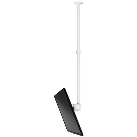 Atdec ceiling mount for large display, long pole - Loads up to 143lb - White - Universal VESA up to 800x500