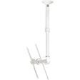 Atdec ceiling mount for large display, short pole - Loads up to 143lb - White - Universal VESA up to 800x500