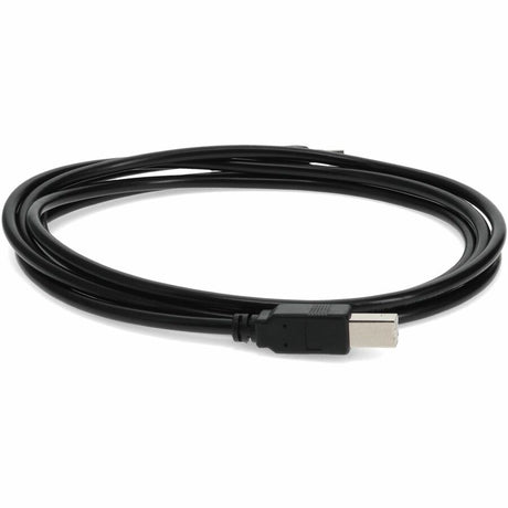 AddOn 5-Pack of 10ft USB 2.0 (A) Male to USB 2.0 (B) Male Black Cables