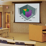 Draper Premier 100" Projection Screen