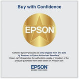 Epson Maintenance Box T699700