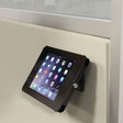 StarTech.com Secure Tablet Stand - Security lock protects your tablet from theft and tampering - Easy to mount to a desk / table / wall or directly to a VESA compatible monitor mount - Supports iPad and other 9.7" tablets - Steel Construction - Thread the