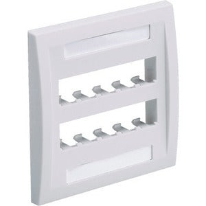 Panduit CFPE10EI-2GY Faceplate