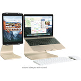 MSTAND TABLETPRO GOLD IPAD