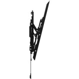 Tilting Dual Stud Mount