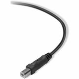 Belkin 3ft USB Cable - USB-A M to USB-B M - Printer, Scanner, Hard Drive compatible