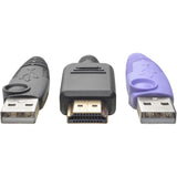HDMI USB Server Intrfc Unit