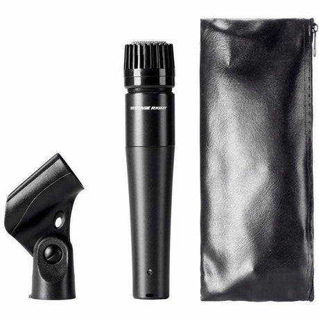 Monoprice Stage Right Dynamic Microphone for Vocals, Professional Audio, Stage, Guitar Amplifier, Drum, Horn
