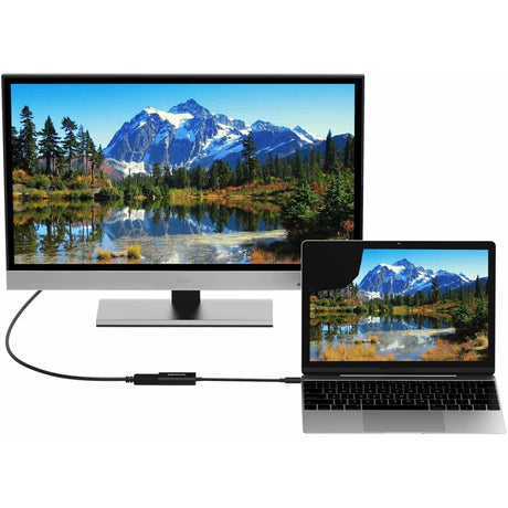 USB 3.1 TYPE-C TO DISPLAYPORT