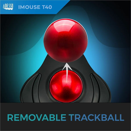 WL ERGONOMIC TRACKBALL 4-BTN