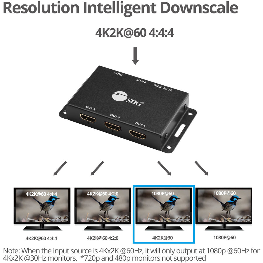 SIIG 4 Port HDMI 2.0 HDR Mini Splitter Amplifier with EDID Management