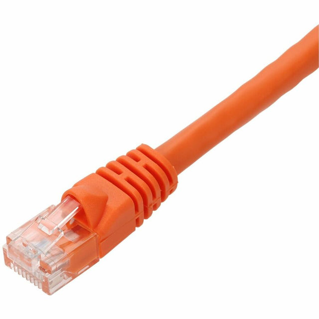 50FT ORANGE CAT6 UTP PVC