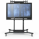 MooreCo iTeach Flat Panel Cart