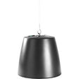Electro-Voice EVID P6.2 2-way Indoor/Outdoor Ceiling Mountable, Pendant Mount Speaker - Black