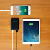 10000MAH DUAL USB POWERBANK