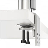 Atdec dual (rail) dynamic monitor arm desk mount - Flat and Curved up to 27in up to 15lb - VESA 75x75, 100x100