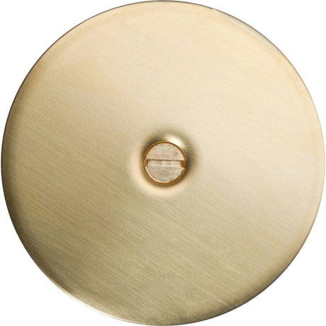 Wiremold 525 Series Blanking Plate Brass