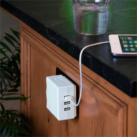 CyberPower P2WU Professional 2 - Outlet Surge with 500 J