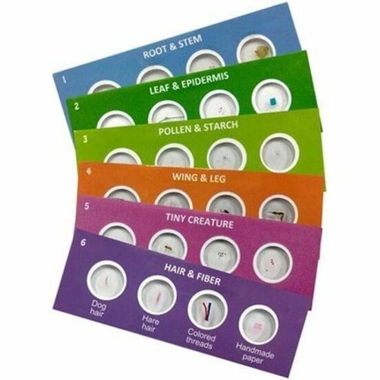 Hamilton Buhl SCT-S24 Digital Microscope