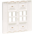 Eaton Tripp Lite Series 8-Port Keystone Double-Gang Faceplate, White, TAA