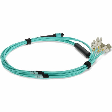 MPO/8XLC F/M FANOUT CBL