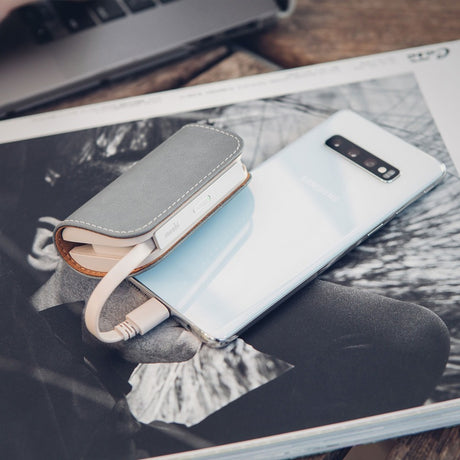 Moshi IonGo 5000mAh Power Bank