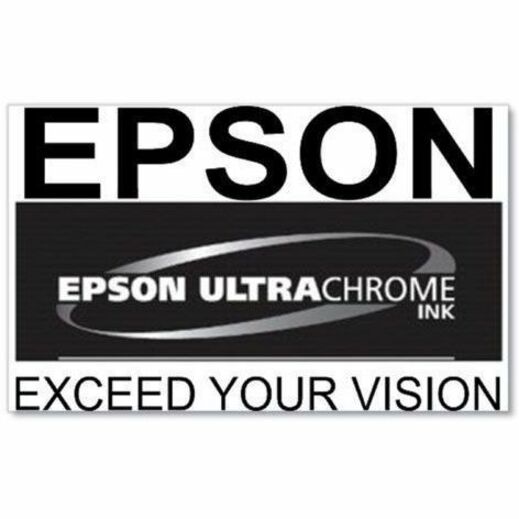 Epson UltraChrome PRO 770 Original Inkjet Ink Cartridge - Photo Black Pack