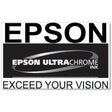 Epson UltraChrome PRO 770 Original Inkjet Ink Cartridge - Gray Pack