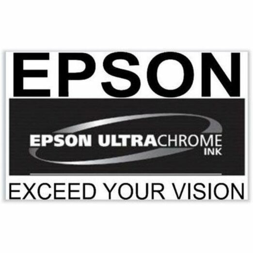 Epson UltraChrome PRO 770 Original Inkjet Ink Cartridge - Light Gray Pack
