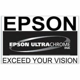 Epson UltraChrome PRO 770 Original Inkjet Ink Cartridge - Light Gray Pack