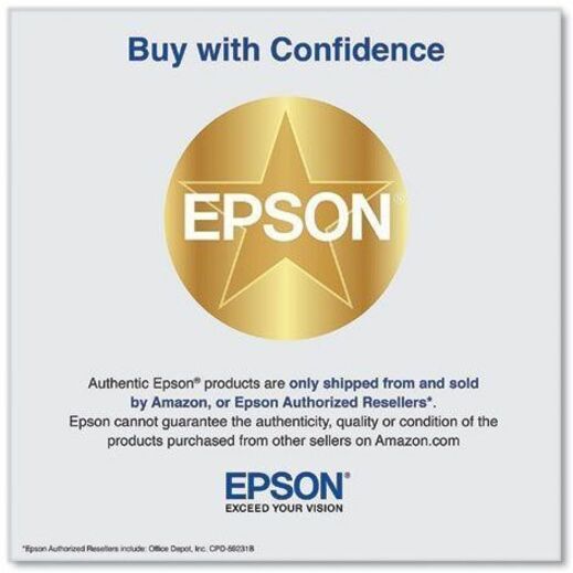 Epson UltraChrome PRO 770 Original Inkjet Ink Cartridge - Light Gray Pack